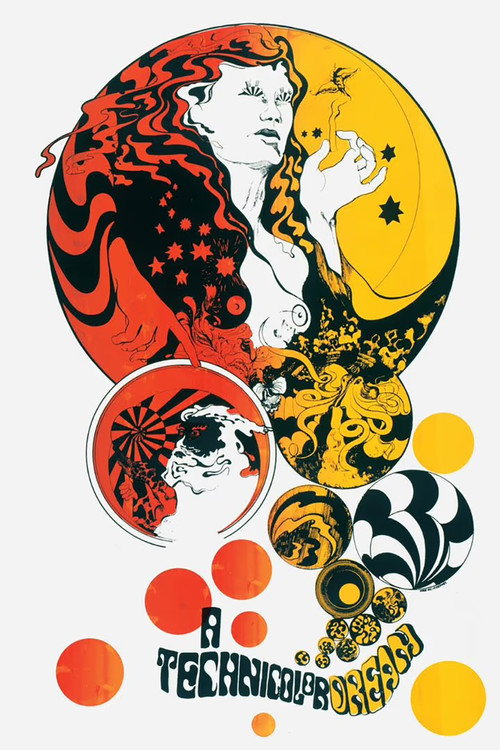 Movie poster for A Technicolor Dream (2008)