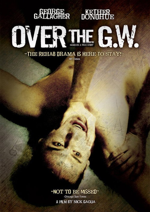 Movie poster for Over the GW (2007)