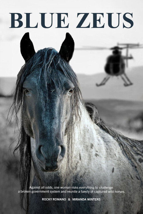 Movie poster for Blue Zeus (2025)