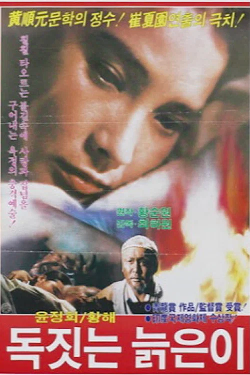 Movie poster for An Old Potter (1970)
