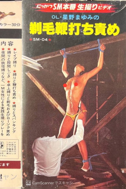Movie poster for OL Mayumi Hoshino: Shaved Hair Whipping Torture (1982)