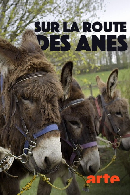 Movie poster for Sur la route des ânes (2018)