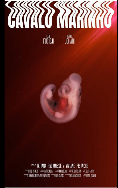 Movie poster for Cavalo Marinho (2019)