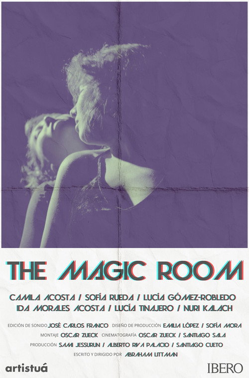 Movie poster for The Magic Room (2025)
