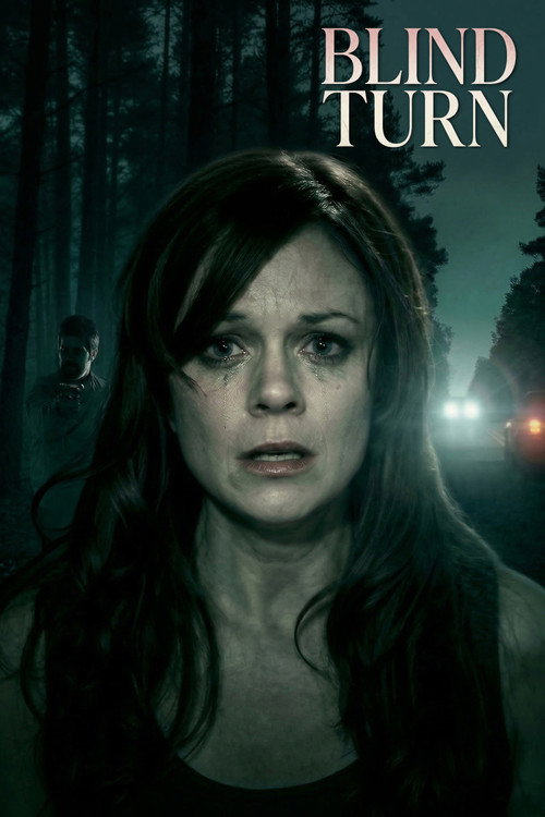 Movie poster for Blind Turn (2023)