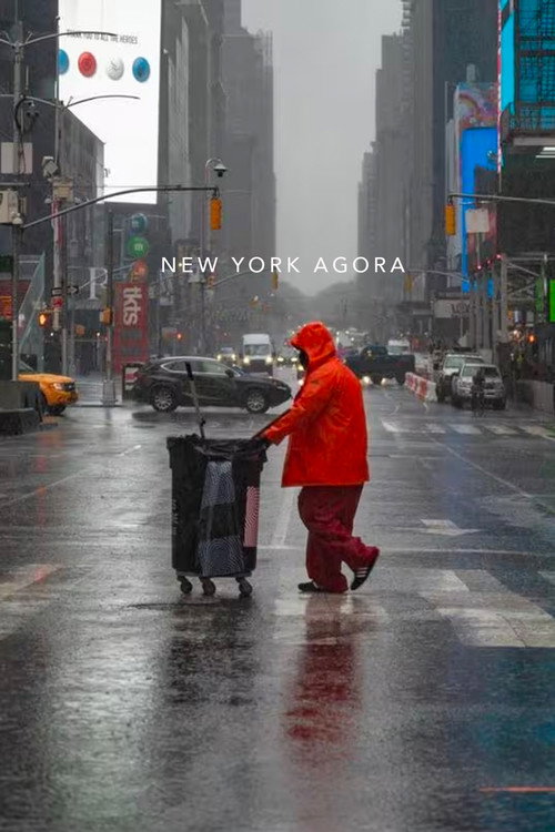Movie poster for New York Agora: The Legacy of the 60s Counterculture (2008)