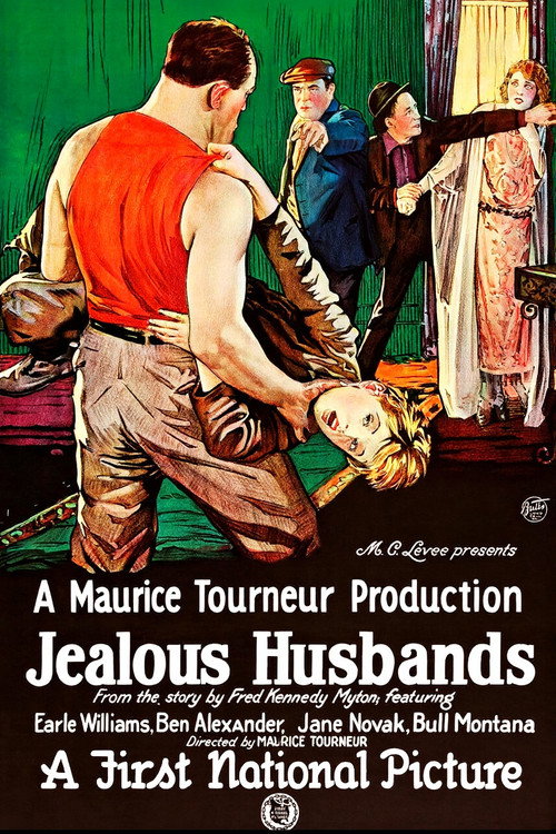 Movie poster for Jealous Husbands (1923)
