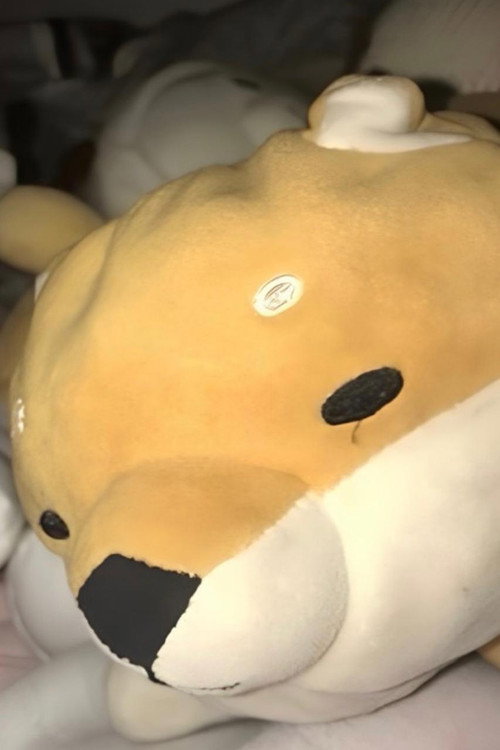 Movie poster for Hachike Verse (2027)