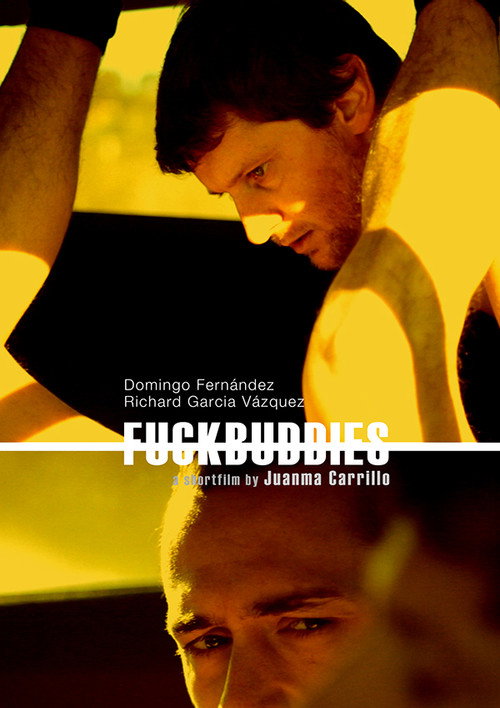 Movie poster for Fuckbuddies (2011)