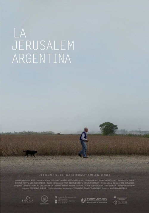 Movie poster for La Jerusalem argentina (2017)