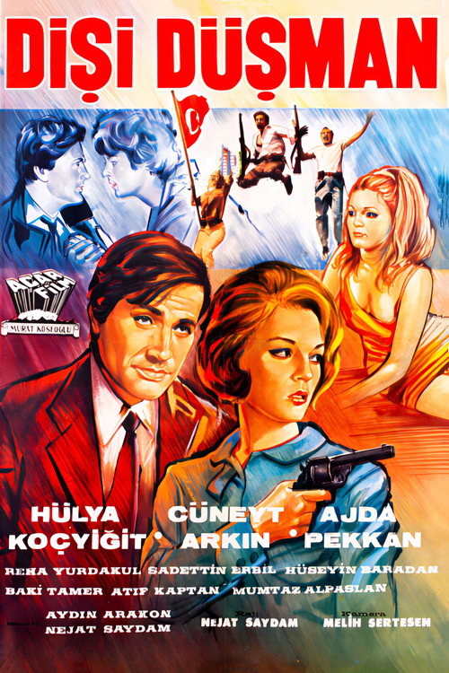 Movie poster for Dişi Düşman (1966)