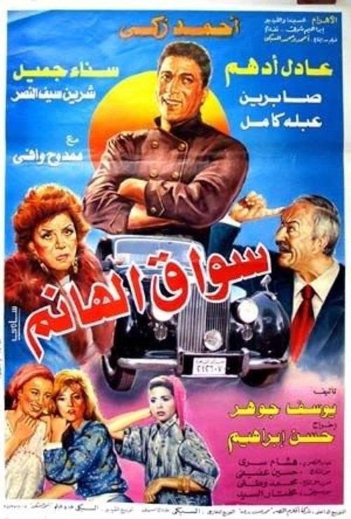 Movie poster for The Lady's Driver (1993)