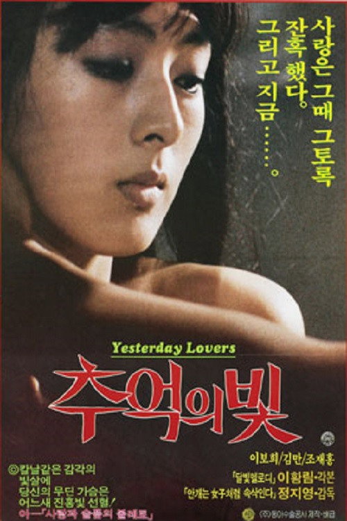 Movie poster for The Light of Recollection (1985)