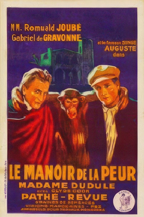 Movie poster for The Manor House of Fear (1927)