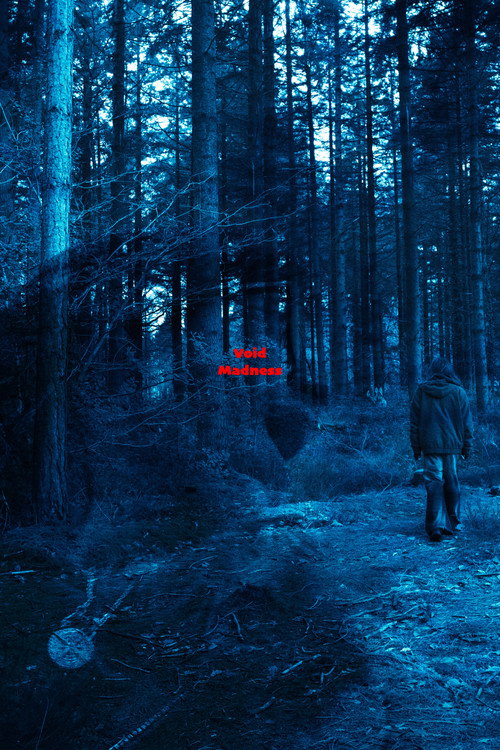 Movie poster for Void Madness (2026)