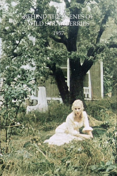 Movie poster for Behind the Scenes of Wild Strawberries (1957)