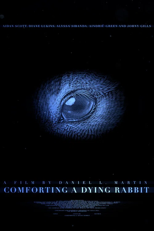 Movie poster for Comforting A Dying Rabbit (2024)