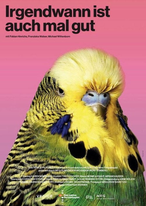 Movie poster for Irgendwann ist auch mal gut (2020)