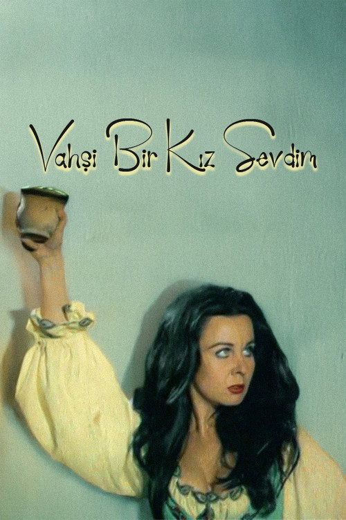 Movie poster for Vahşi Bir Kız Sevdim (1972)