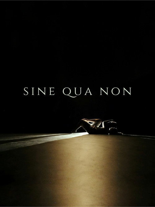 Movie poster for Sine Qua Non (2024)