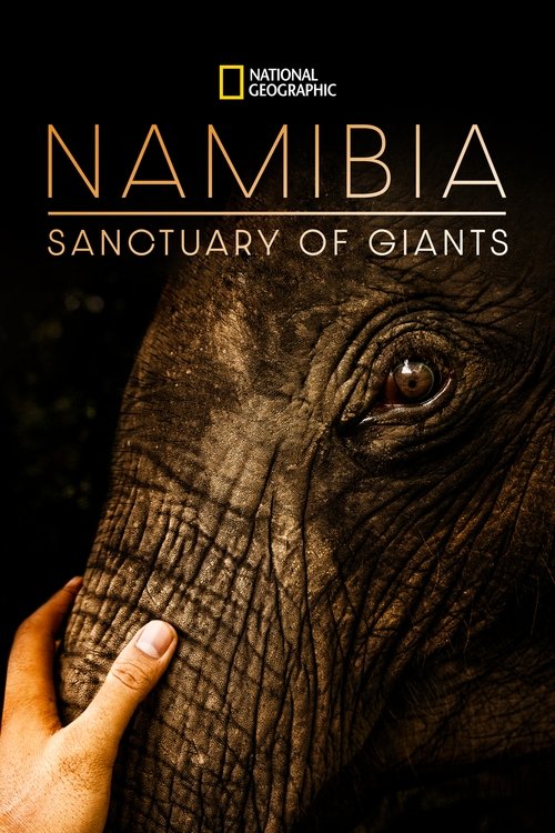 Movie poster for Namibia, Sanctuary of Giants (2017)