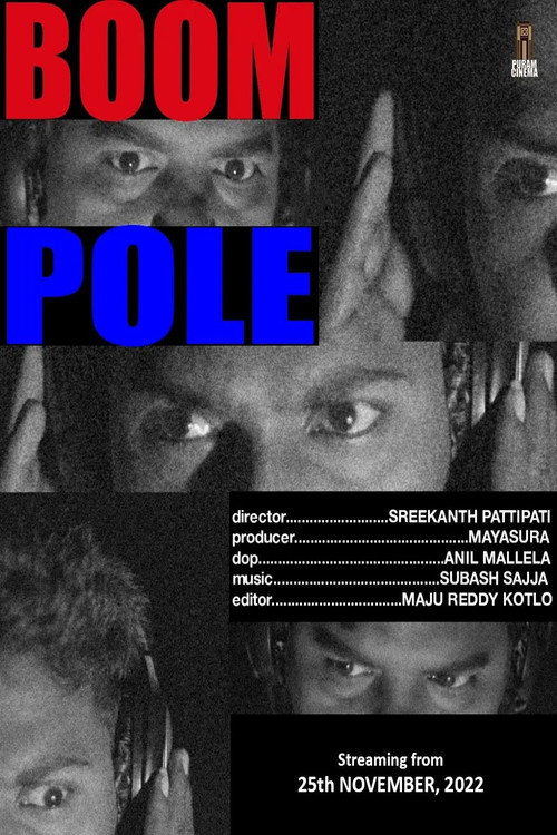Movie poster for Boom Pole
