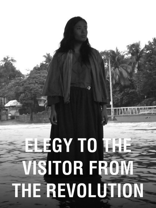 Movie poster for Elegy to the Visitor From the Revolution (2011)