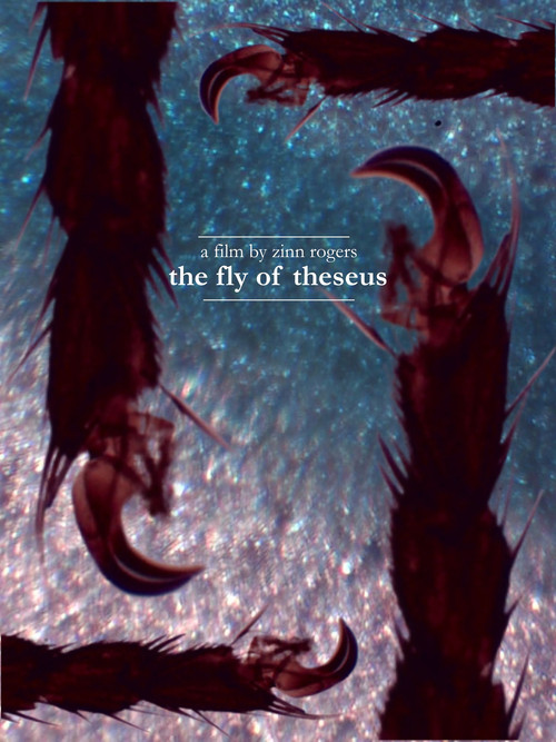 Movie poster for The Fly of Theseus (2026)