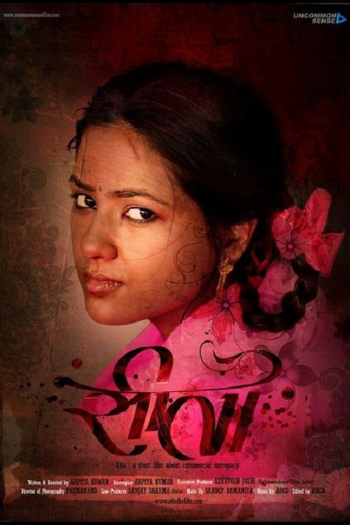 Movie poster for Sita (2013)