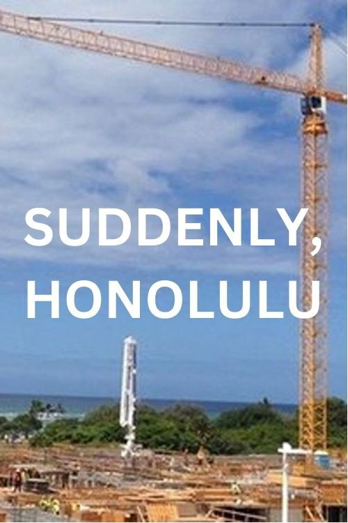 Movie poster for Suddenly, Honolulu (2015)