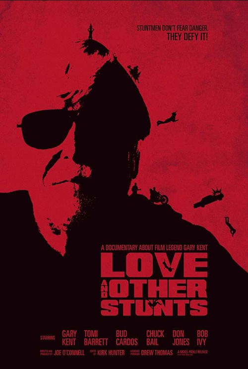 Movie poster for Love and Other Stunts (2018)