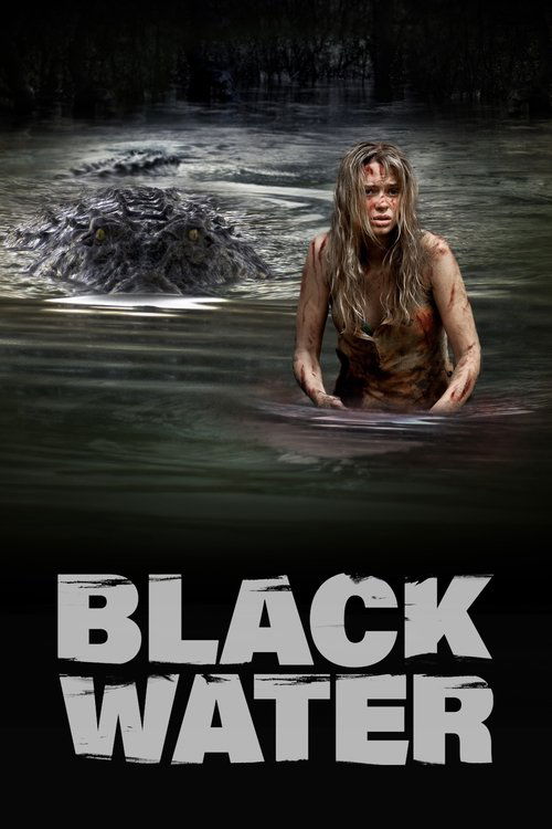Movie poster for Black Water (2008)
