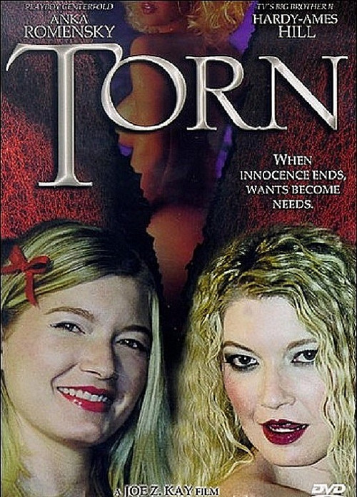 Movie poster for Summer Desire (2001)