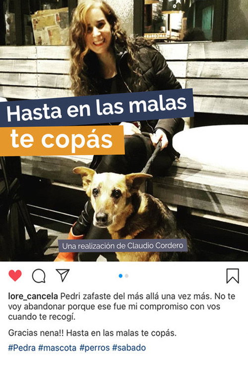 Movie poster for Hasta en las malas te copás (2026)