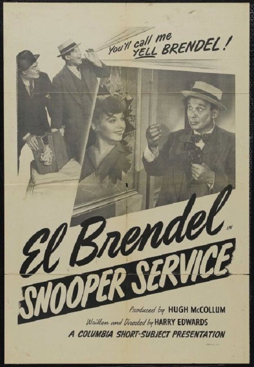 Movie poster for Snooper Service (1945)