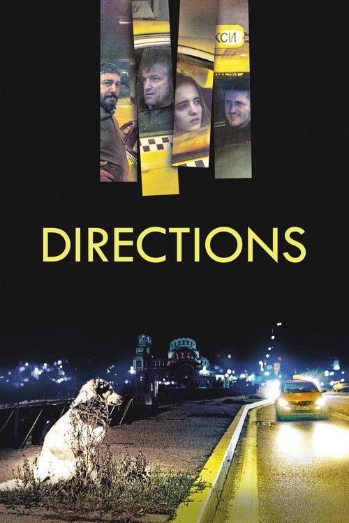 Movie poster for Directions (2017)