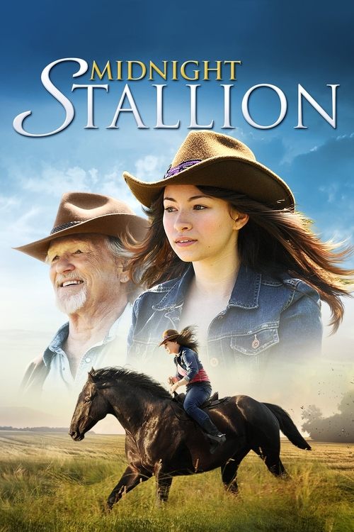 Movie poster for Midnight Stallion (2013)