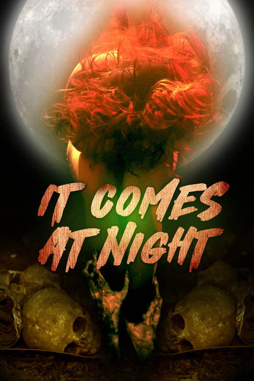 Movie poster for In the Light of the Night (2022)