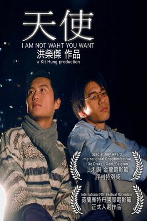 Movie poster for I Am Not What You Want (2001)