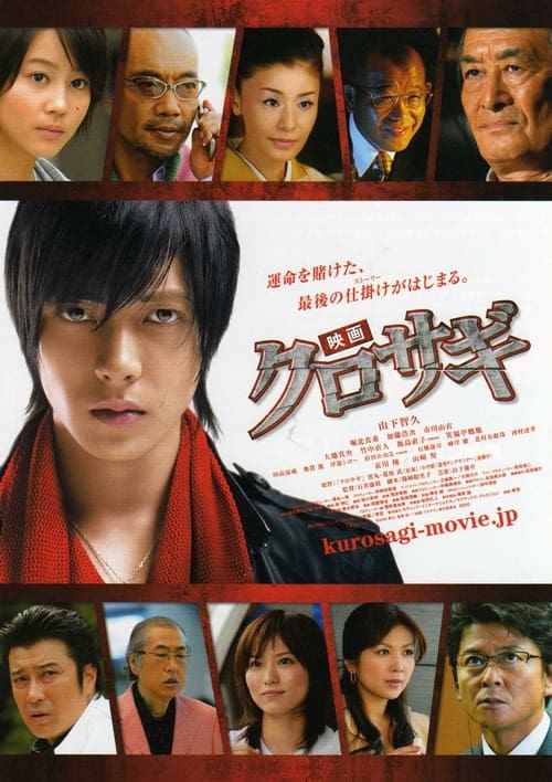 Movie poster for The Black Swindler (2008)