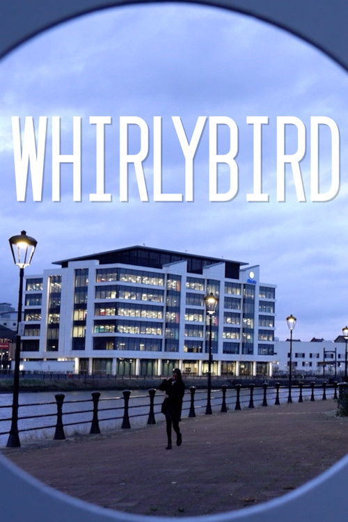 Movie poster for Whirlybird (2022)