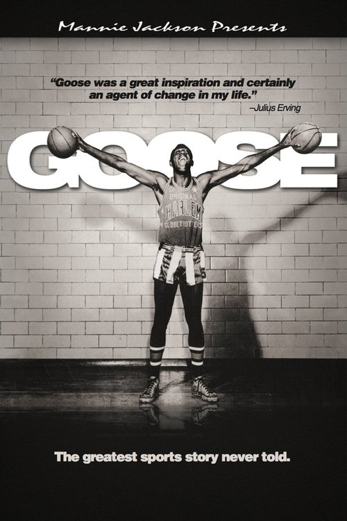 Movie poster for Goose (2012)