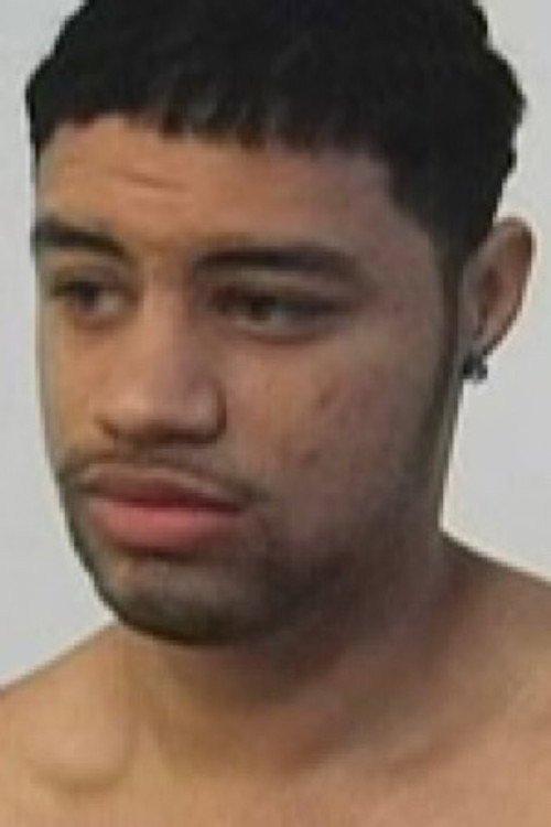 Photo of Diego, Acting