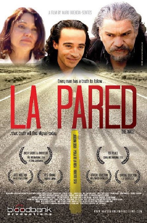 Movie poster for The Wall (2007)