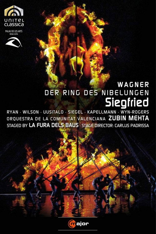 Movie poster for Wagner: Siegfried (2010)