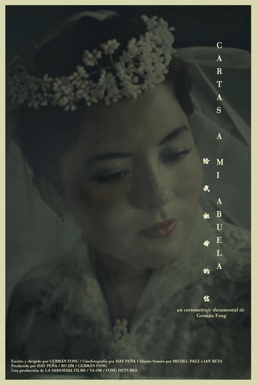 Movie poster for Letters to my Grandma (2024)