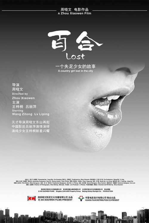 Movie poster for Lost (2010)