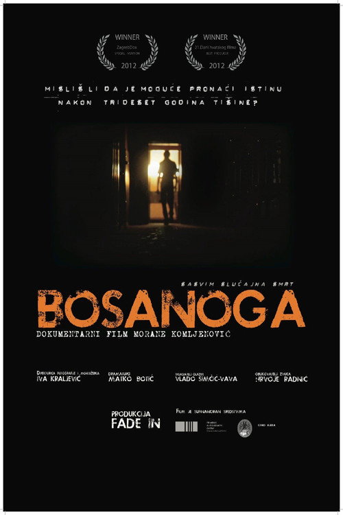 Movie poster for Bosanoga (An Entirely Accidental Death) (2011)