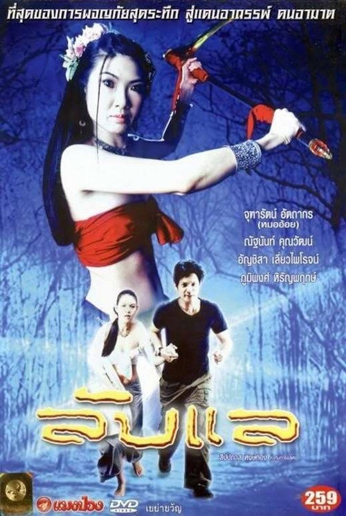Movie poster for The Magical Portal (2004)