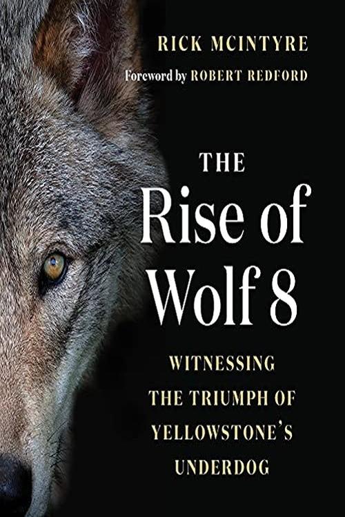 Movie poster for The Alpha Wolves of Yellowstone